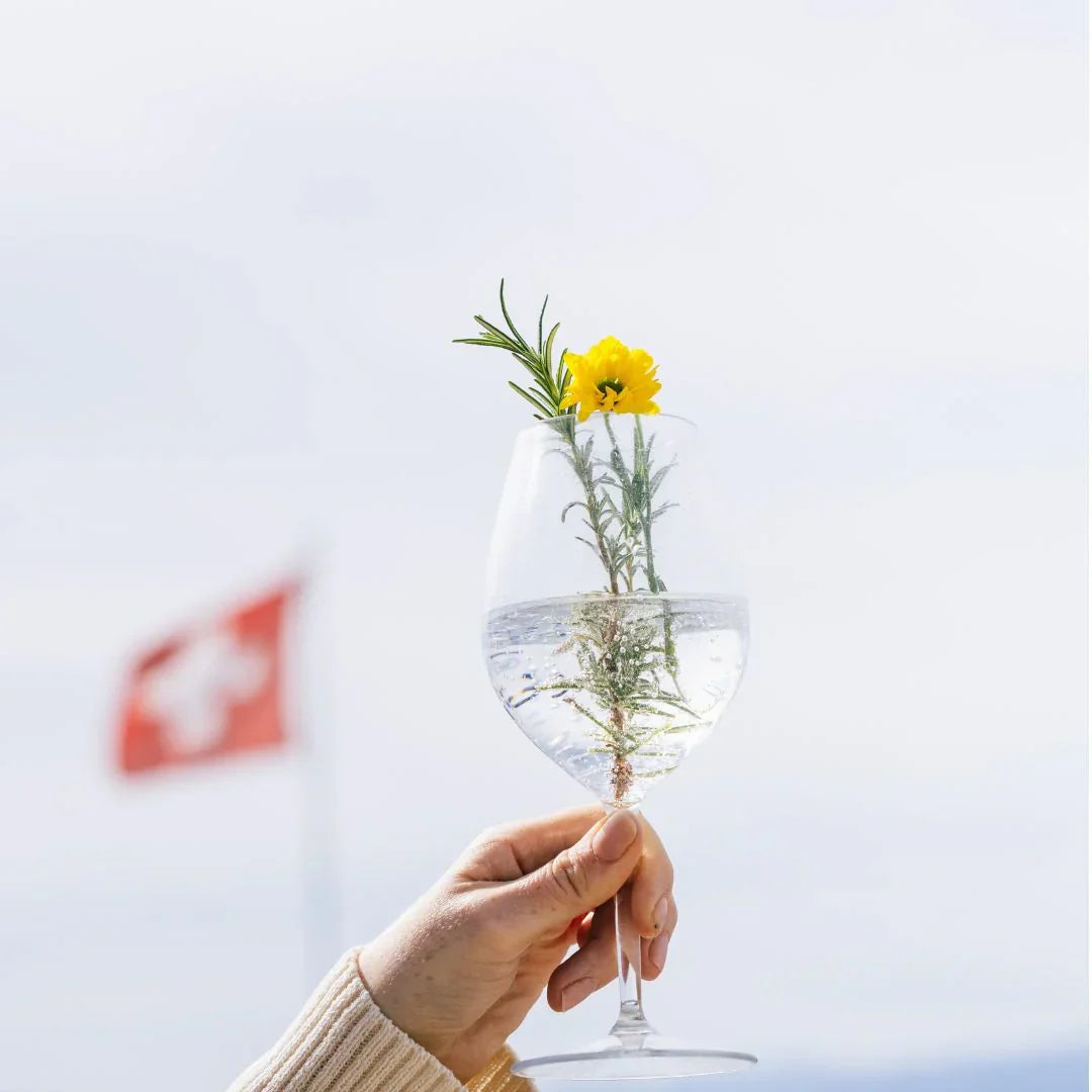 Bel Nada - G&T Alcohol-Free │ Mix Set - Refreshing Delight Without the Buzz 🍹✨