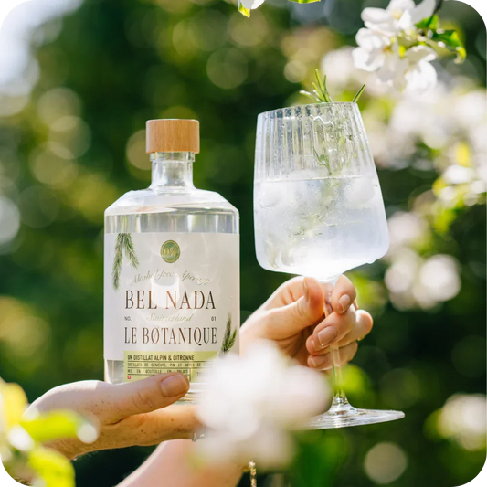 Bel Nada - LOT GIN FIZZ - Des cocktails rafraîchissants pour toutes les occasions 🍸✨