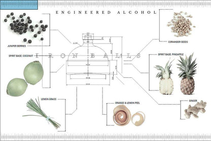 IRON BALLS Gin by Ashley Sutton 70 cl / 40 % Thailand – Bild 3