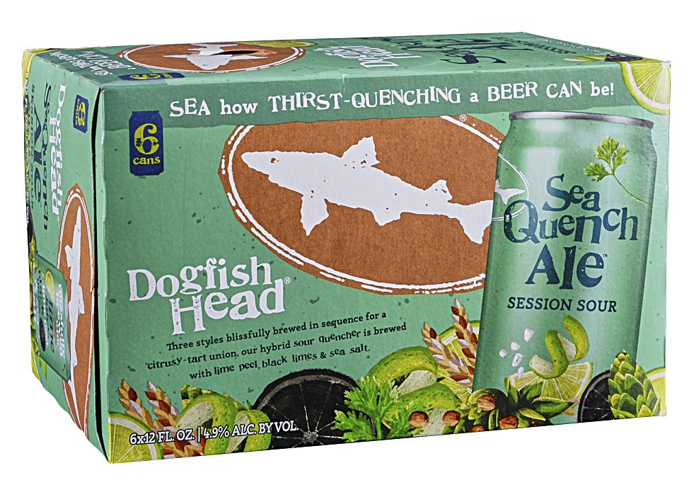 DOGFISH SeaQuench Session Sour Ale Dosen Kiste 24 x 355 ml / 4.9 % USA – Bild 4