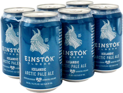 EINST-K-Icelandic-Arctic-Pale-Ale-Kiste-24-x-355-ml