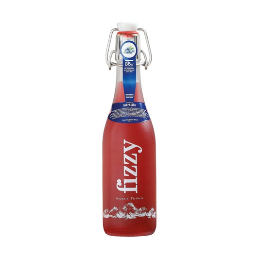 Gazosa-FIZZY-LAMPONE-MIRTILLO-Glasflsche-20-x-350-ml-Schweiz
