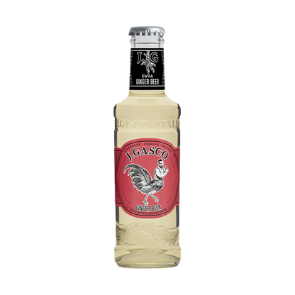 J. GASCO Ginger Beer 24 x 200 ml Italien