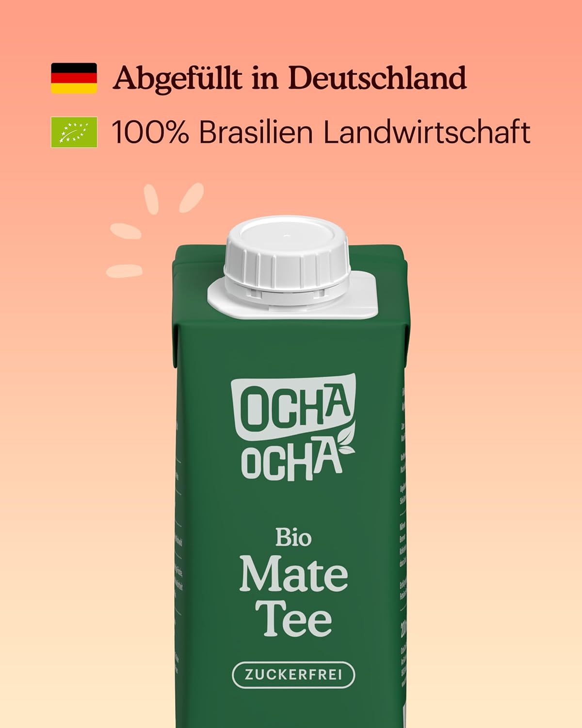 Ocha-Ocha-Mate-Tee1