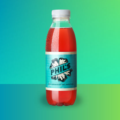 Phil-s-Bio-Fr-chtetee-mit-Kr-utern-PET-Flasche