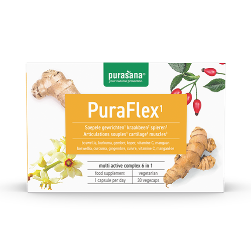 Purasana-PuraFLEX-5-in-1-Vitamin-Complex-Vegetarian-30-capsules-19-1-grams