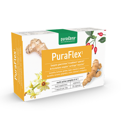 Purasana-PuraFLEX-5-in-1-Vitamin-Complex-Vegetarian-30-capsules-19-1-grams1