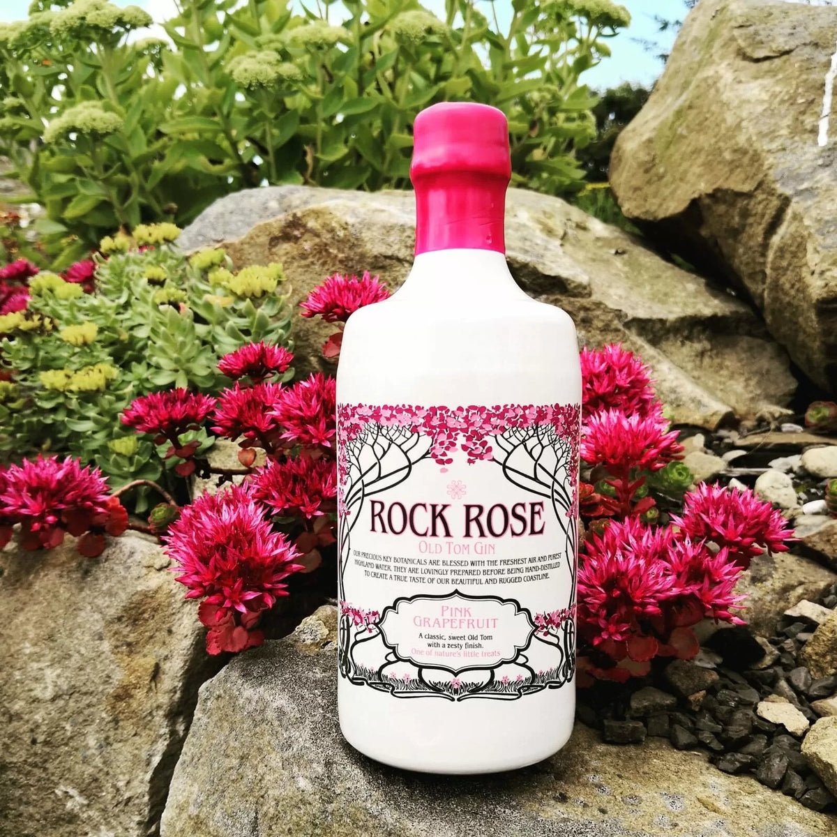 Rock-Rose-Old-Tom-Pink-Grapefruit-Gin