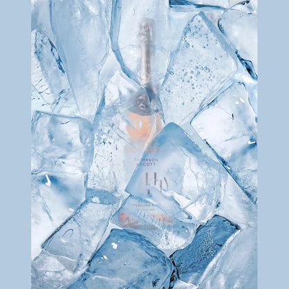 Shot-6-Frozen_900x