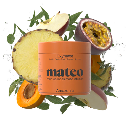 mateo-Mat-Tee-AMAZONIA-Mission-Antiox-loser-Tee-100-Gramm