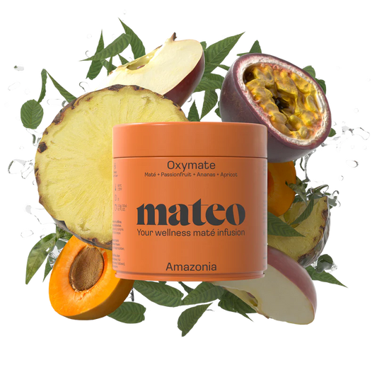 mateo-Mat-Tee-AMAZONIA-Mission-Antiox-loser-Tee-100-Gramm