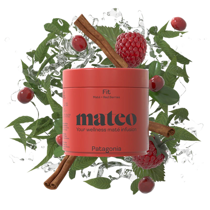 mateo-Mat-Tee-PATAGONIA-Mission-Fit-loser-Tee-100-Gramm