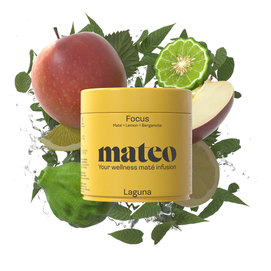 mateo-Mate-LAGUNA-Mission-Focus