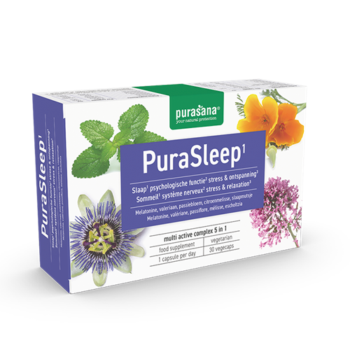 puranu03_4630067_front-45_2_ec15f455